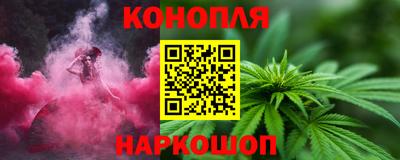 гидра Будённовск