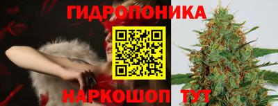 гидра Будённовск