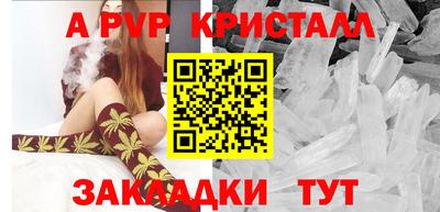 гидра Будённовск