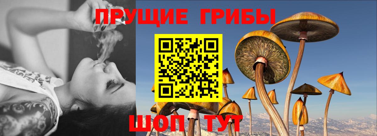 Галлюциногенные грибы Magic Shrooms Старая Русса