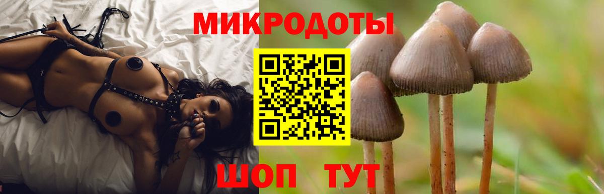 купить   Вход с VPN  Старая Русса  Псилоцибиновые грибы мицелий 